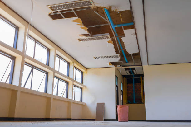 Best 24-hour water damage restoration  in Fort Davis, TX