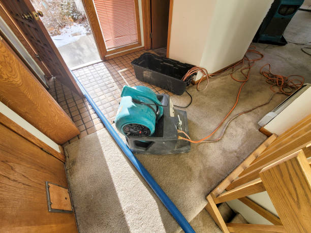 Best Sewage cleanup and water damage restoration  in Fort Davis, TX