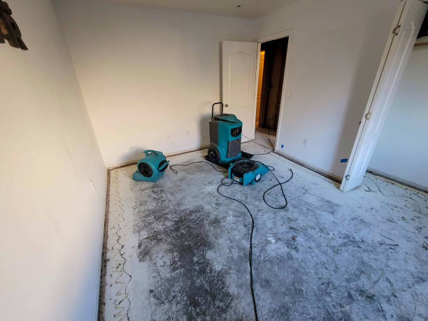 Best Residential water damage restoration  in Fort Davis, TX