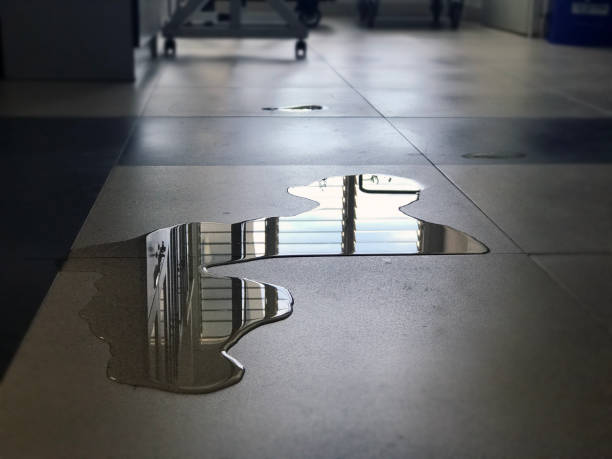 Best Water damage restoration near me  in Fort Davis, TX