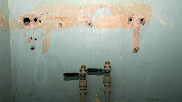Best Water damage restoration insurance claims  in Fort Davis, TX