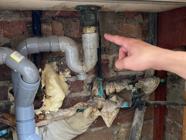 Best Flood damage cleanup  in Fort Davis, TX