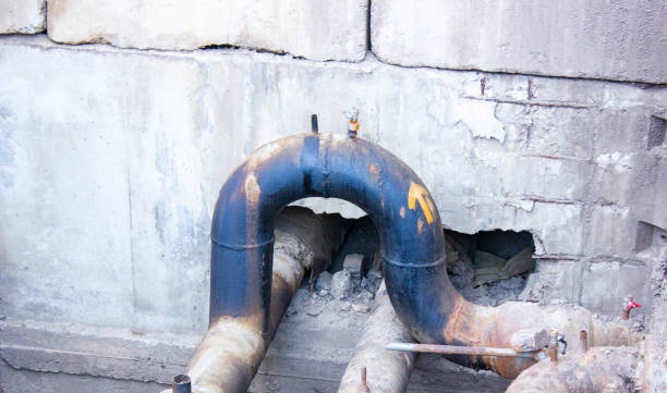 Best Local water damage restoration  in Fort Davis, TX
