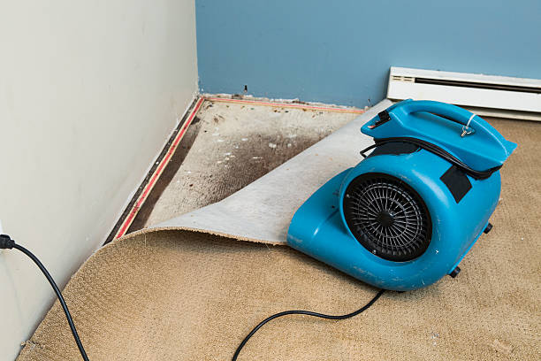 24/7 water damage repair in Fort Davis, TX
